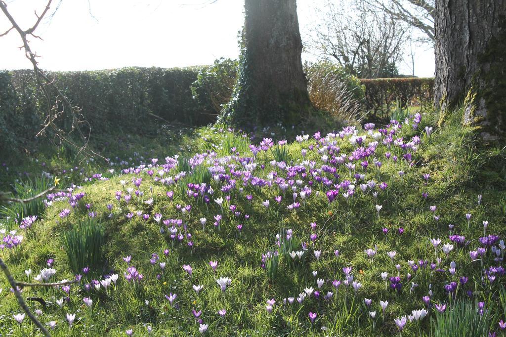 Ballyhargan Farm House Dungiven Zewnętrze zdjęcie