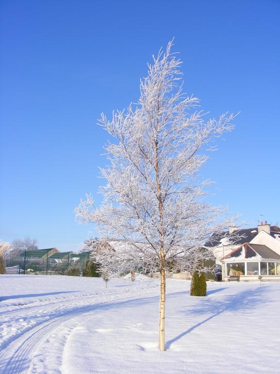 Ballyhargan Farm House Dungiven Zewnętrze zdjęcie