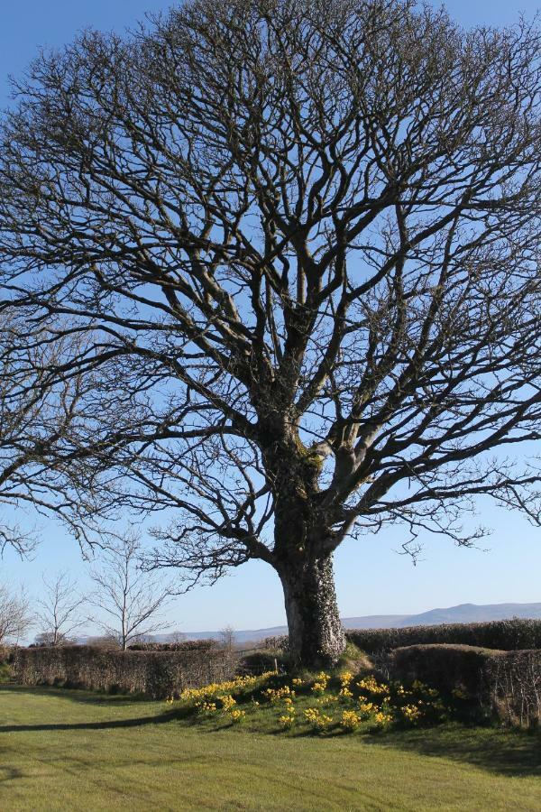 Ballyhargan Farm House Dungiven Zewnętrze zdjęcie